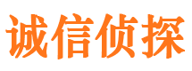 陆河市私人调查